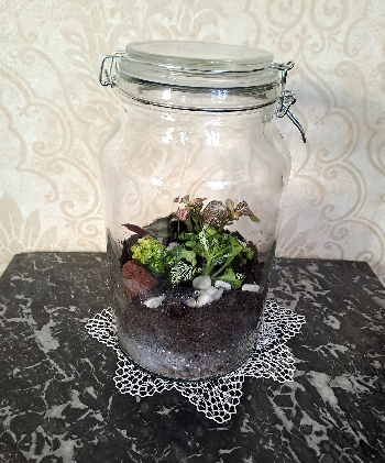 Rastlinné terárium